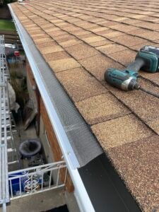 Professional Gutter Services in Staples, ON for Gutter Repairs